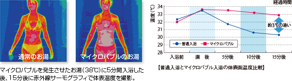 体表面温度比較